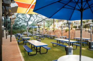 Spacious outdoor patio at Draft Republic San Marcos with shaded picnic tables and lush greenery.